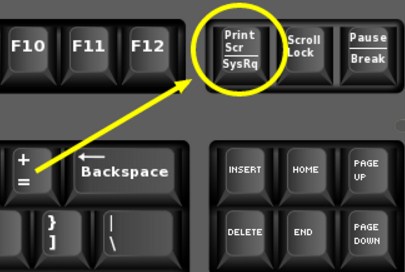 Cara Screenshot di Laptop/PC Dengan Mudah